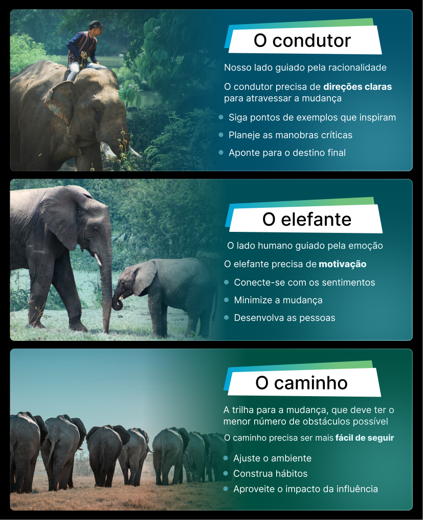 Gráfico mostra como facilitar o ajuste de comportamento dentro da metáfora proposta pelo livro "Switch"